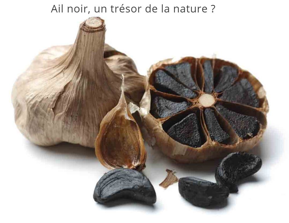 Ail noir, un trésor de la nature ? 