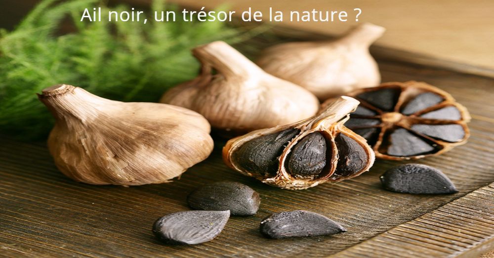 Ail noir, un trésor de la nature ? 