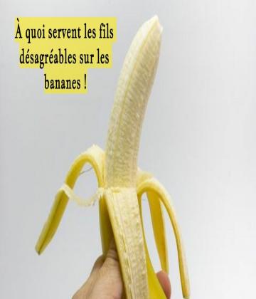 Détestez-vous ces petits fils sur vos bananes et vous les retirez avant de les manger, tout comme nous ?