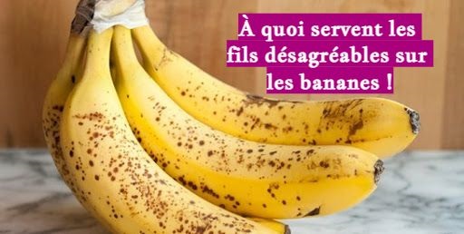 À quoi servent les fils désagréables sur les bananes !