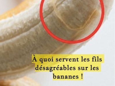 À quoi servent les fils désagréables sur les bananes !