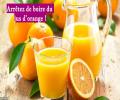 Aimez-vous boire un bon verre de jus d’orange frais au petit-déjeuner ? C’est Choquant mais voici pourquoi il est mieux d’arrêter de boire du jus d’orange !