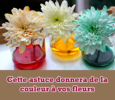 Cette astuce donnera de la couleur à vos fleurs 
