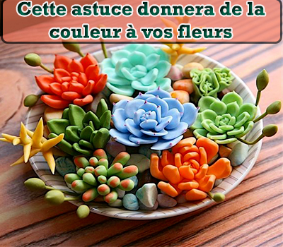 Cette astuce donnera de la couleur à vos fleurs 
