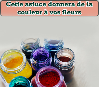 Cette astuce donnera de la couleur à vos fleurs 