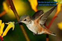 La Terre mère est belle et abondante.Quand le cycle printemps revient,les animaux deviennent frénétiques au niveau de la reproduction.