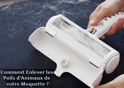 Comment Enlever les Poils d'Animaux de votre Moquette ?