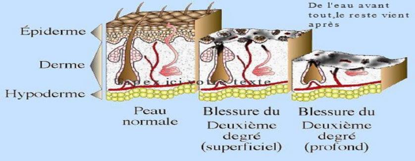 De l'eau avant tout,le reste vient après
