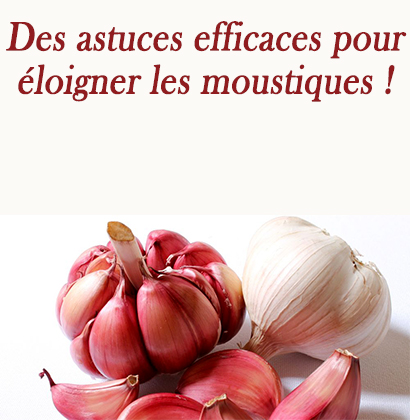 Des astuces efficaces pour éloigner les moustiques !