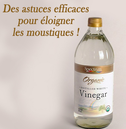 Des astuces efficaces pour éloigner les moustiques !