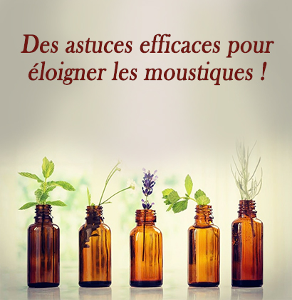 Des astuces efficaces pour éloigner les moustiques !