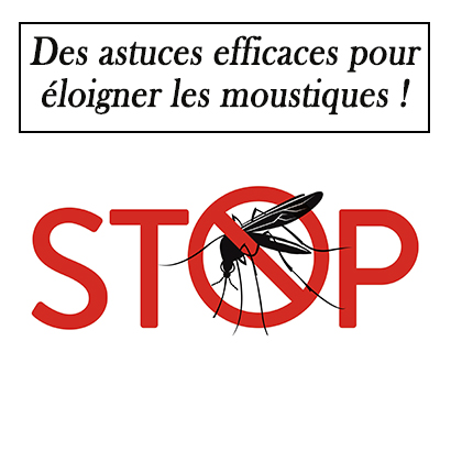 Des astuces efficaces pour éloigner les moustiques !