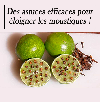Des astuces efficaces pour éloigner les moustiques !