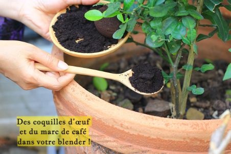 Des coquilles d’œuf et du marc de café dans votre blender !
