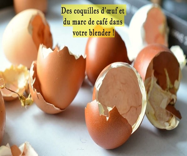 Des coquilles d’œuf et du marc de café dans votre blender !