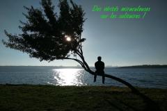 Beaucoup de gens croient que ceux qui n'ont que quelques amis et qui ne sortent pas beaucoup sont seuls et exilés