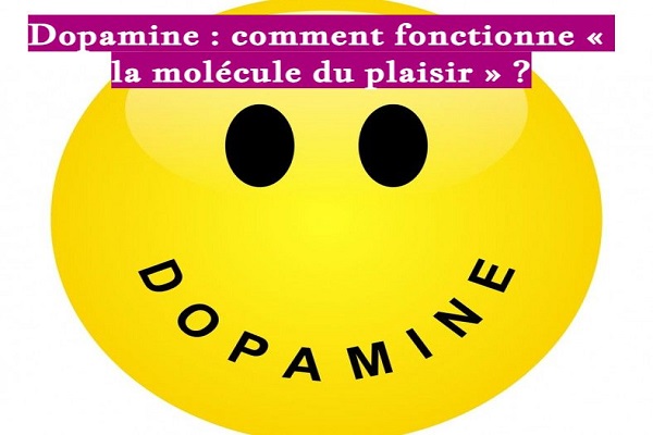Dopamine : comment fonctionne « la molécule du plaisir » ?