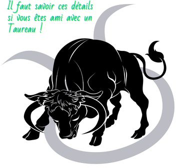 Le Fameux Taureau Il faut savoir ces détails si vous êtes ami avec un Taureau !
