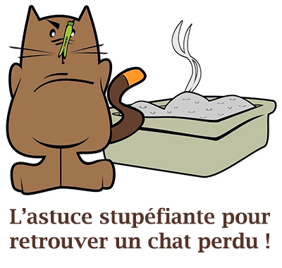 L’astuce stupéfiante pour retrouver un chat perdu !