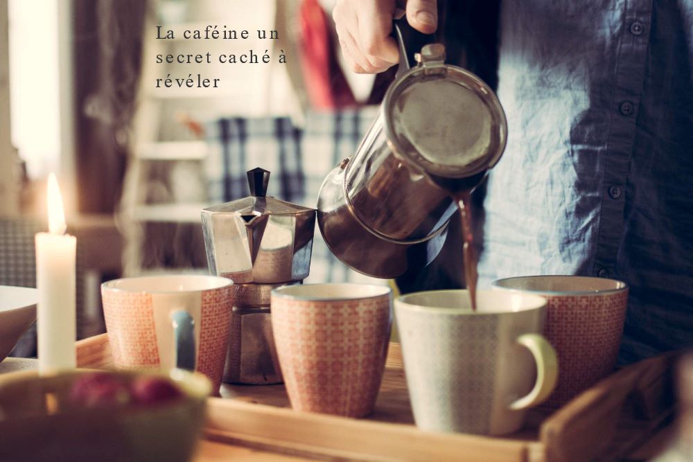 La caféine un secret à révéler La caféine un secret caché à révéler