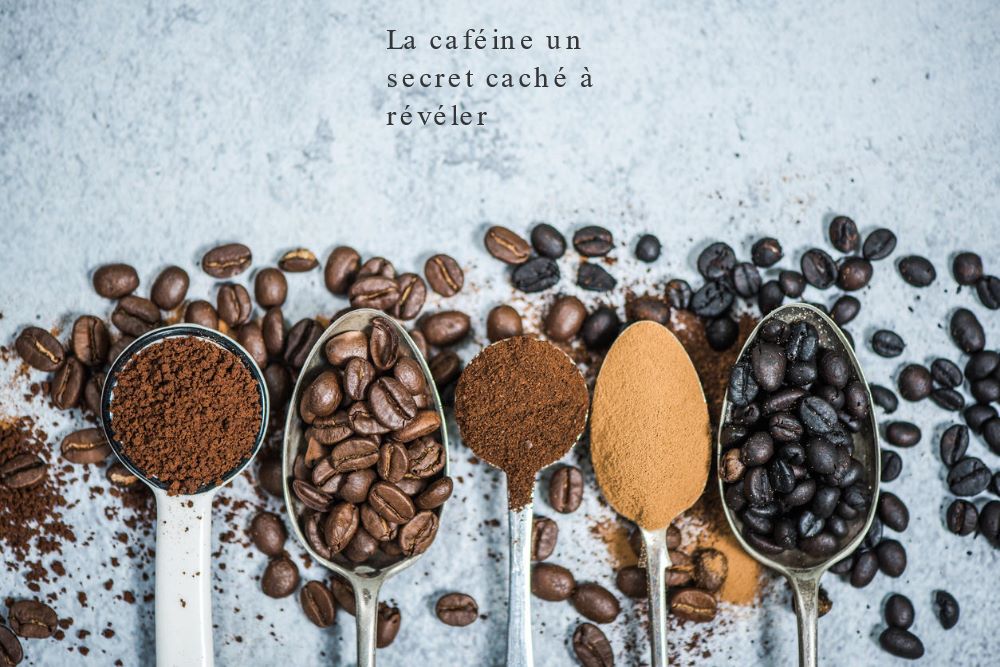 La caféine et sa magie La caféine un secret caché à révéler