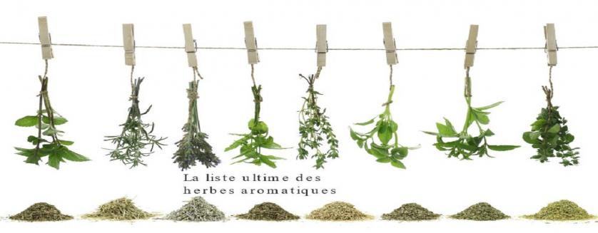 La liste ultime des herbes aromatiques