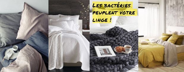 les bactéries peuplent votre linge Les bactéries peuplent votre linge !