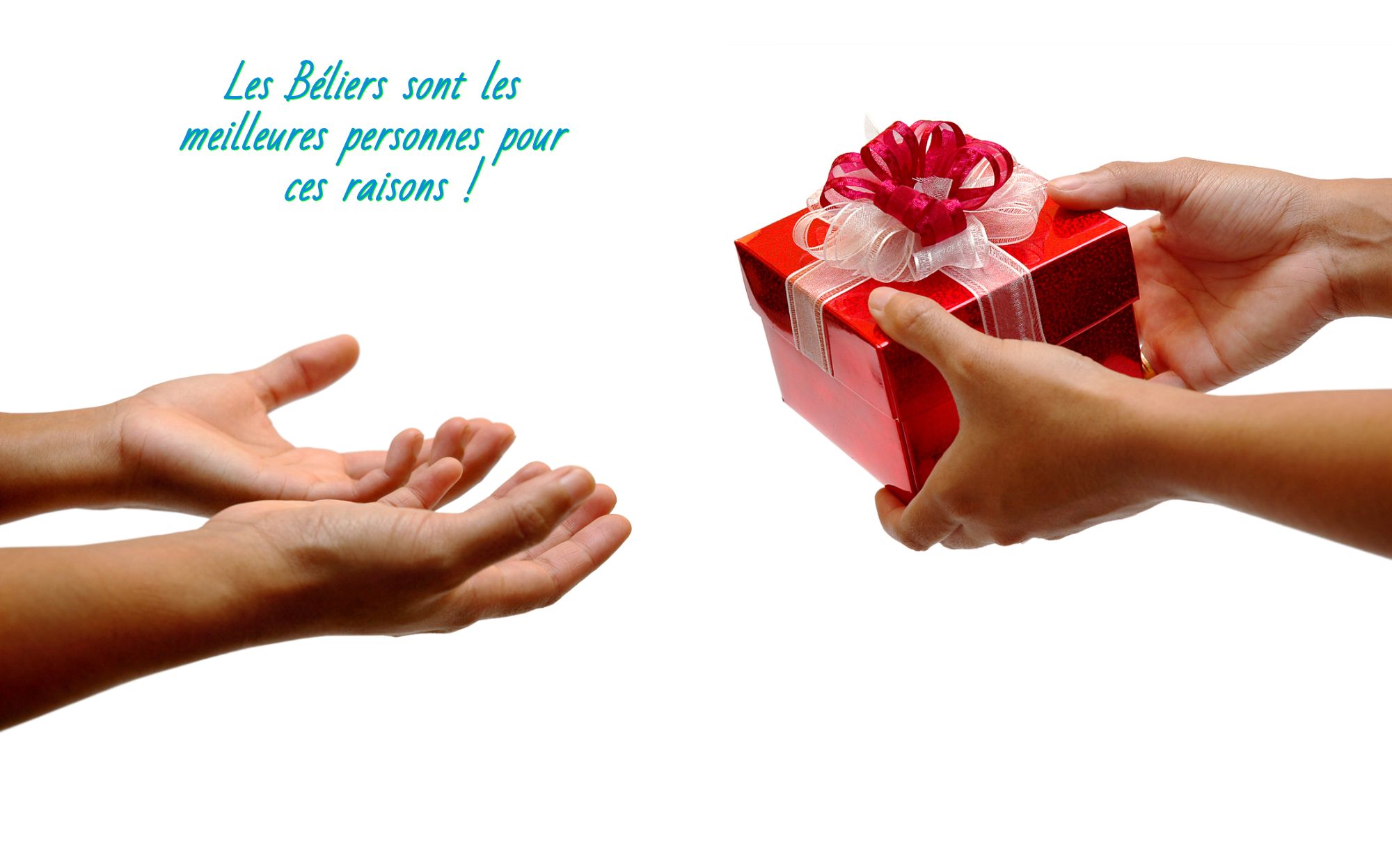 Le généreux bélier Les Béliers sont les meilleures personnes pour ces raisons !