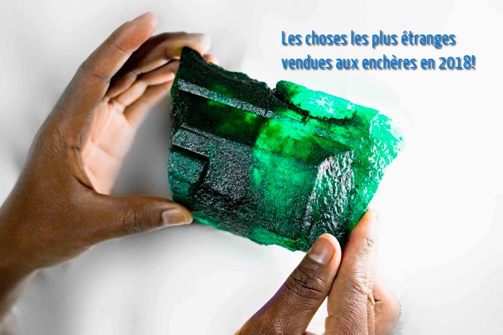 Les choses les plus étranges vendues aux enchères en 2018!