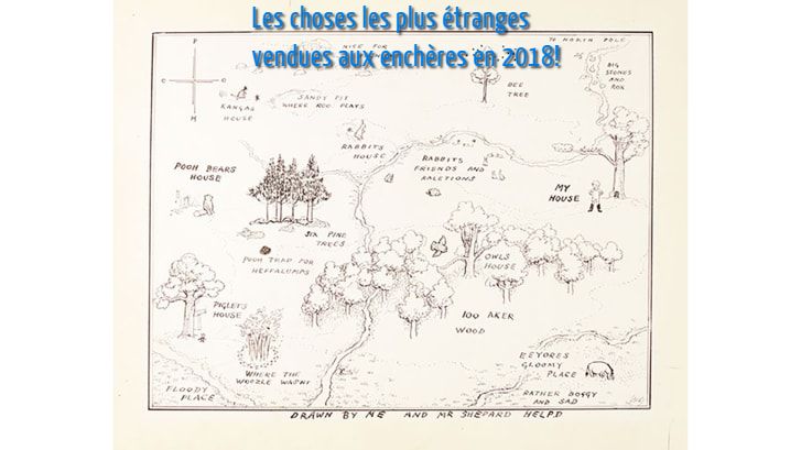 Les choses les plus étranges vendues aux enchères en 2018!