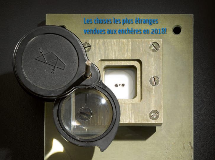 Les choses les plus étranges vendues aux enchères en 2018!