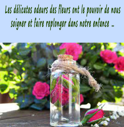 Les délicates odeurs des fleurs ont le pouvoir de nous soigner et faire replonger dans notre enfance…