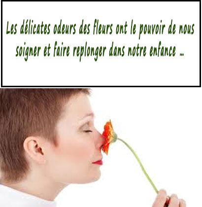 Les délicates odeurs des fleurs ont le pouvoir de nous soigner et faire replonger dans notre enfance…