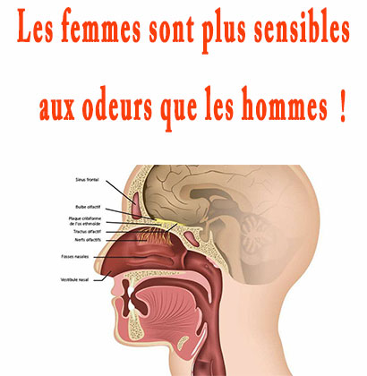 Les femmes sont plus sensibles aux odeurs que les hommes !