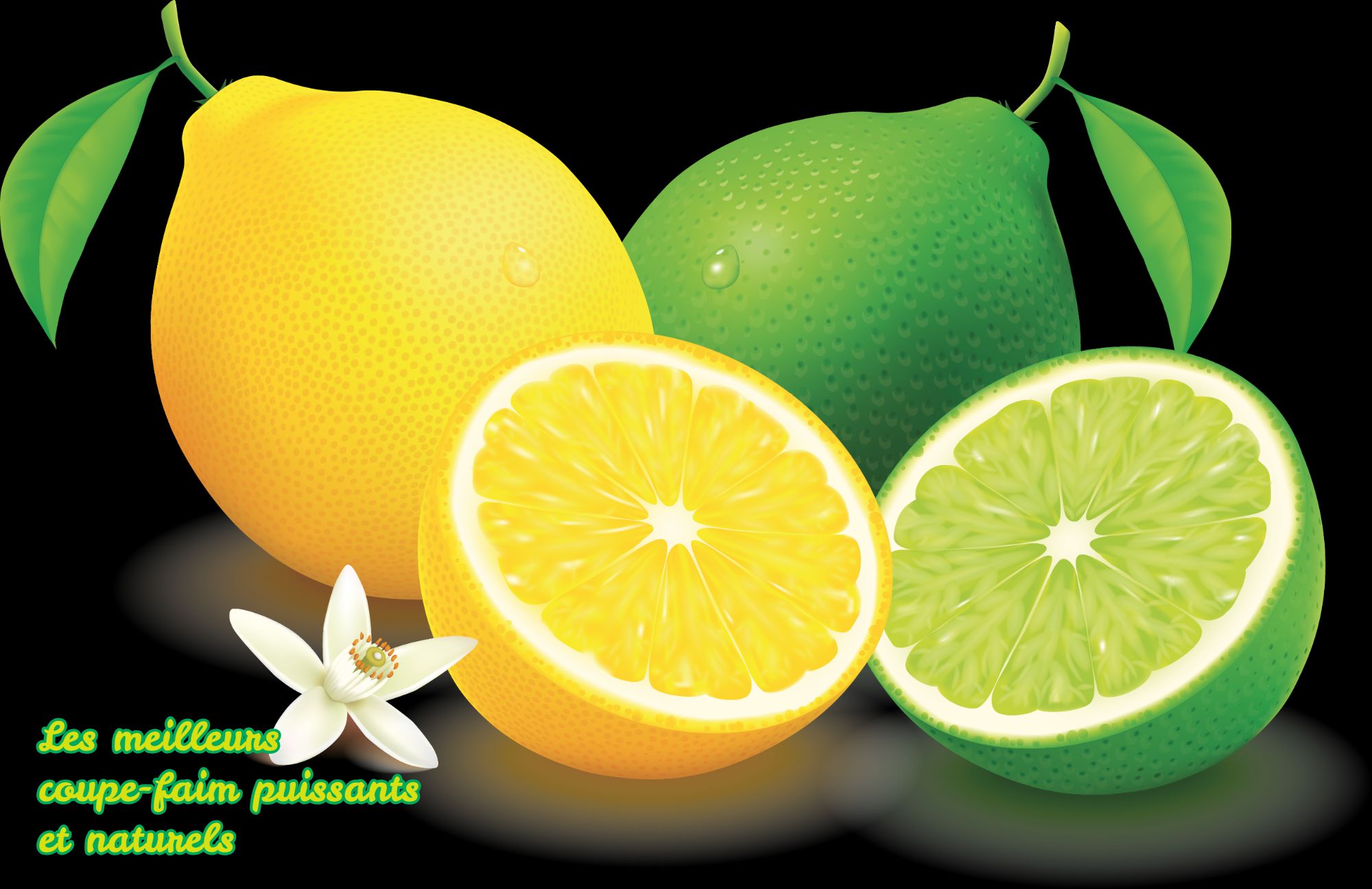 Les meilleurs coupe faim puissants et naturels