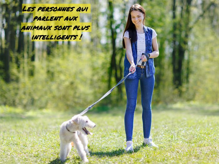 Les personnes qui parlent aux animaux sont les plus intelligents Les personnes qui parlent aux animaux sont plus intelligents !