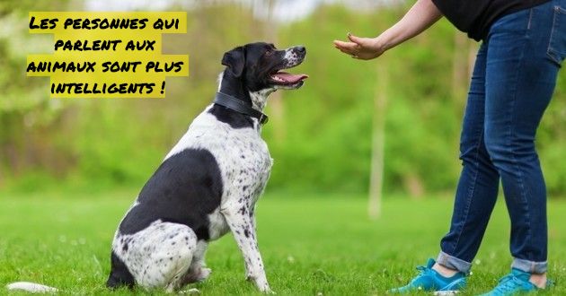 Si vous parlez avec vos animaux vous êtes super intelligent Les personnes qui parlent aux animaux sont plus intelligents !