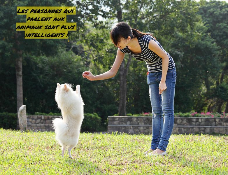 Les personnes qui parlent aux animaux sont les plus intelligents Les personnes qui parlent aux animaux sont plus intelligents !