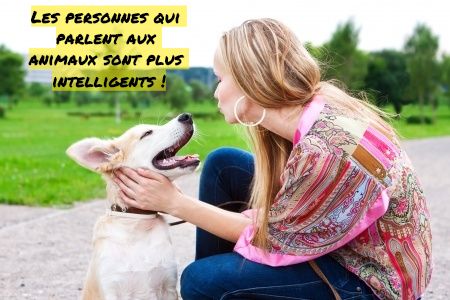 Vous êtes super intelligent si vous parler avec vos animaux Les personnes qui parlent aux animaux sont plus intelligents !