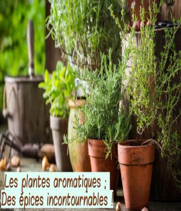 Pour des plats délicieux on n’oublie pas les aromatiques !