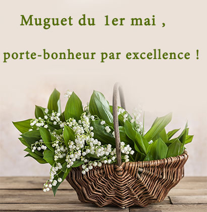 Muguet du 1er mai, porte-bonheur par excellence !