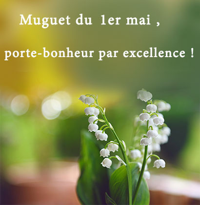 Muguet du 1er mai, porte-bonheur par excellence !