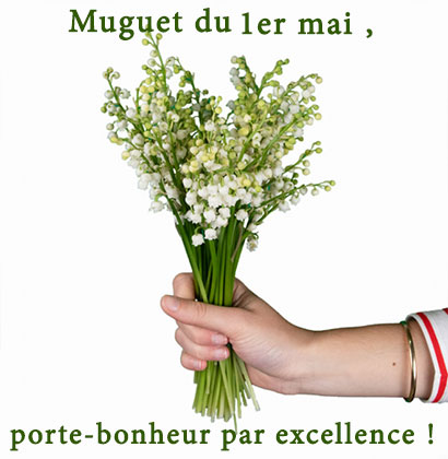 Muguet du 1er mai, porte-bonheur par excellence !