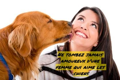Ne tombez jamais amoureux d'une femme qui aime les chiens