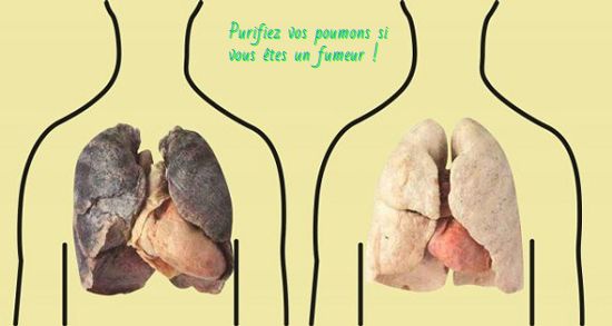 Le système respiratoire Purifiez vos poumons si vous êtes un fumeur