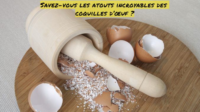 Savez-vous les atouts incroyables des coquilles d’œuf ?