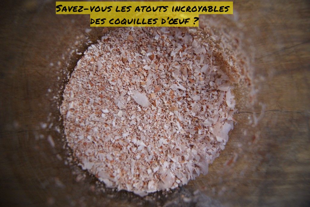 Savez-vous les atouts incroyables des coquilles d’œuf ?
