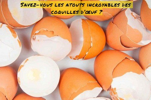 Savez-vous les atouts incroyables des coquilles d’œuf ?