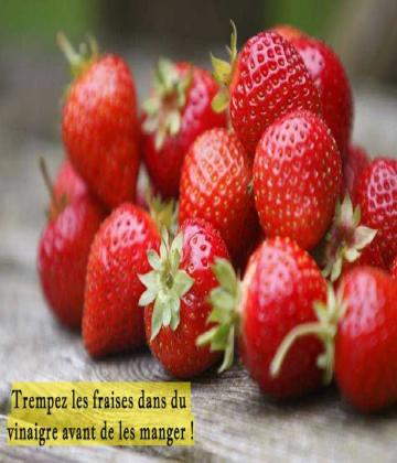 Ça semble bizarre, mais c’est ce qu’il y a de mieux pour les fraises ! Elles sont délicieuses et lorsque c’est la saison, elles ne sont vraiment pas chères !