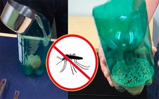Un piège à moustiques facile à fabriquer et très efficace